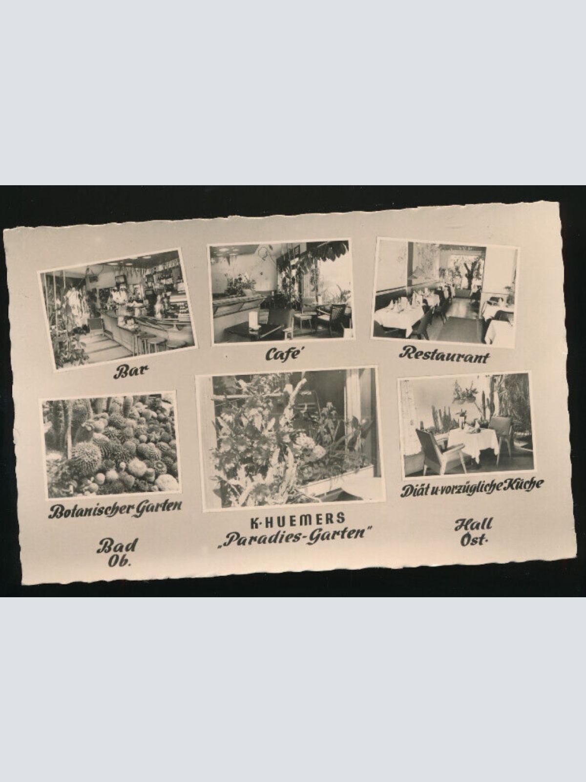 AK aus Bad Hall Botanischer Garten Oberösterreich (2650)