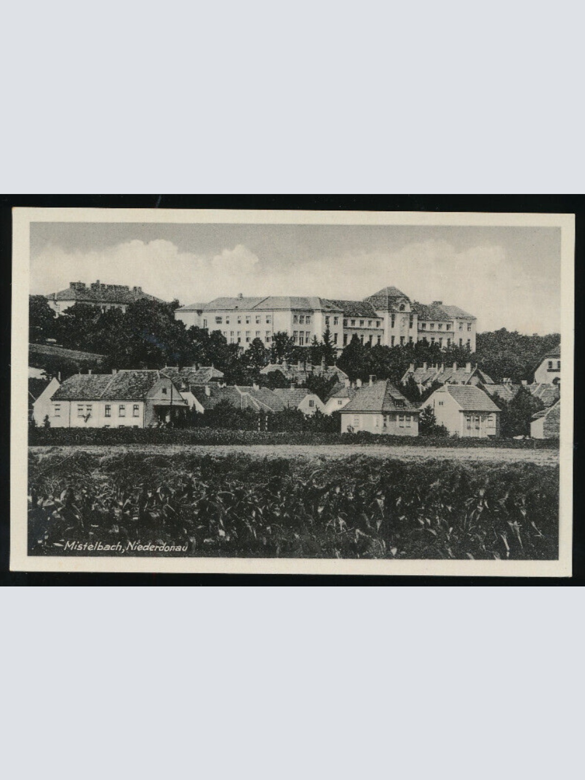 AK aus Mistelbach Niederdonau Niederösterreich (2618)