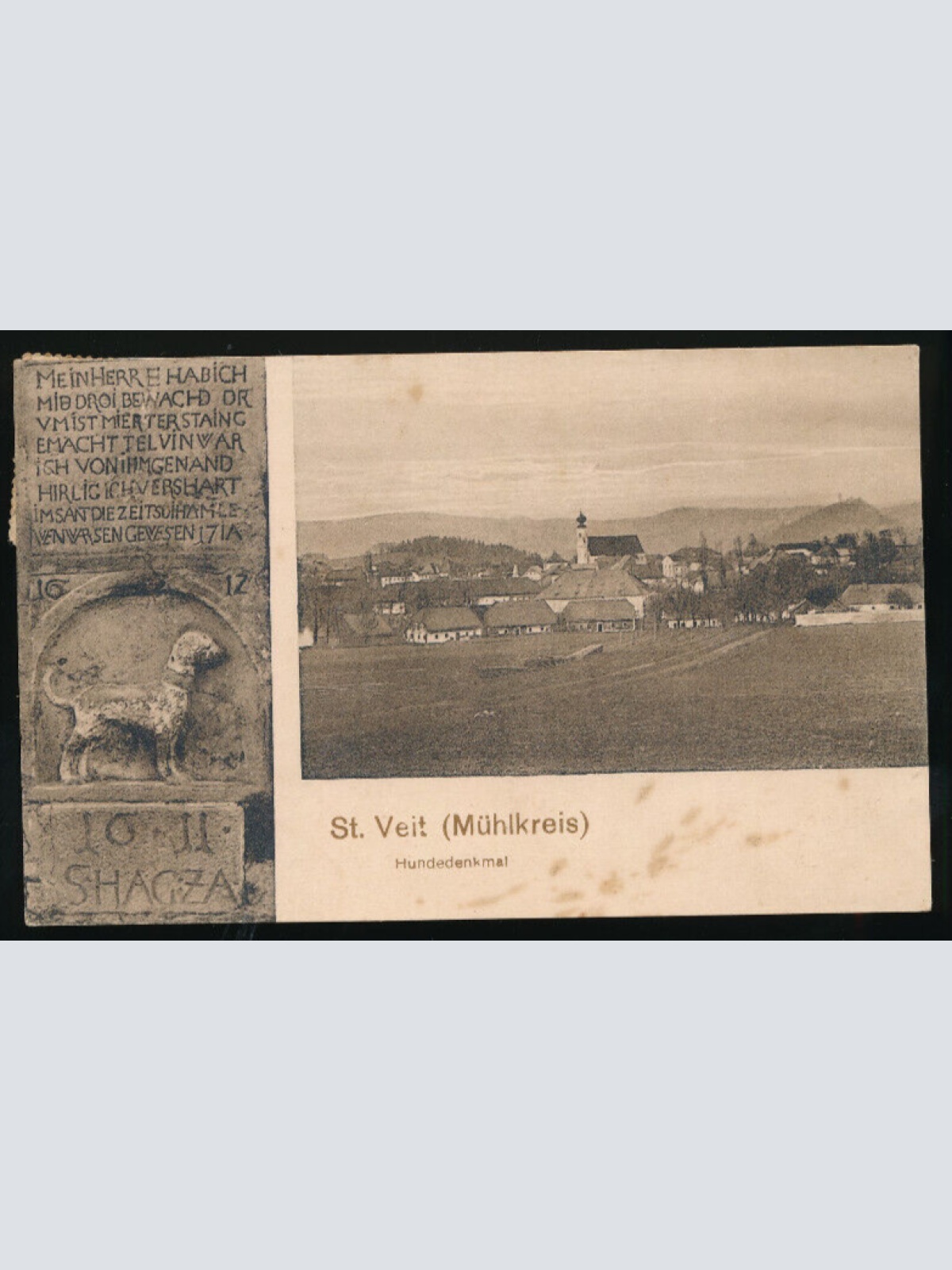 AK aus St.Veit mit Hundedenkmal Oberösterreich (3350)