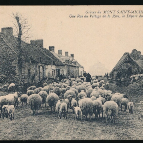 AK aus Saint Michael Bauern mit Schafen Bauernleben (3436)