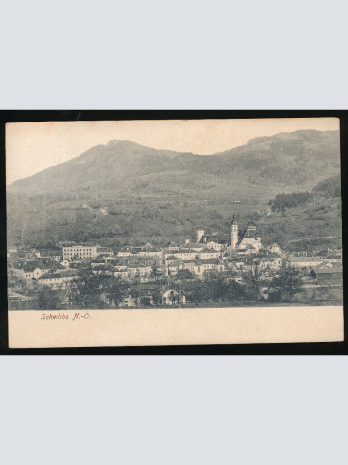 AK aus Scheibbs Niedrösterreich (3138)