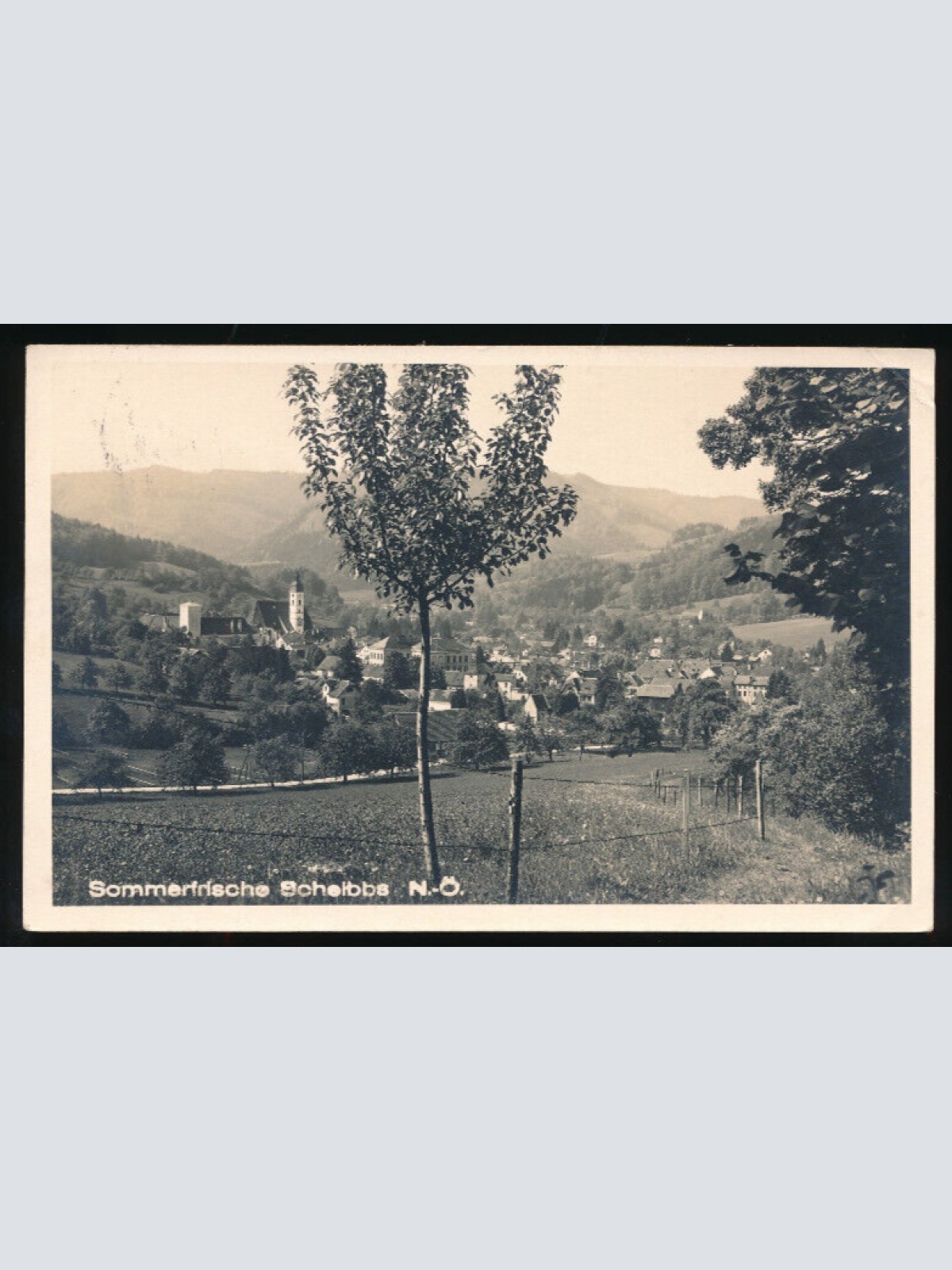 AK aus Scheibbs Niederösterreich (3601)