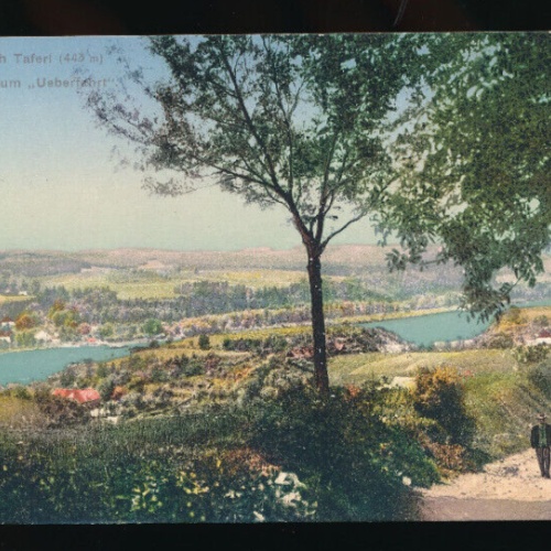 AK aus Maria Taferl mit Krummnussbaum Niederösterreich (3411)