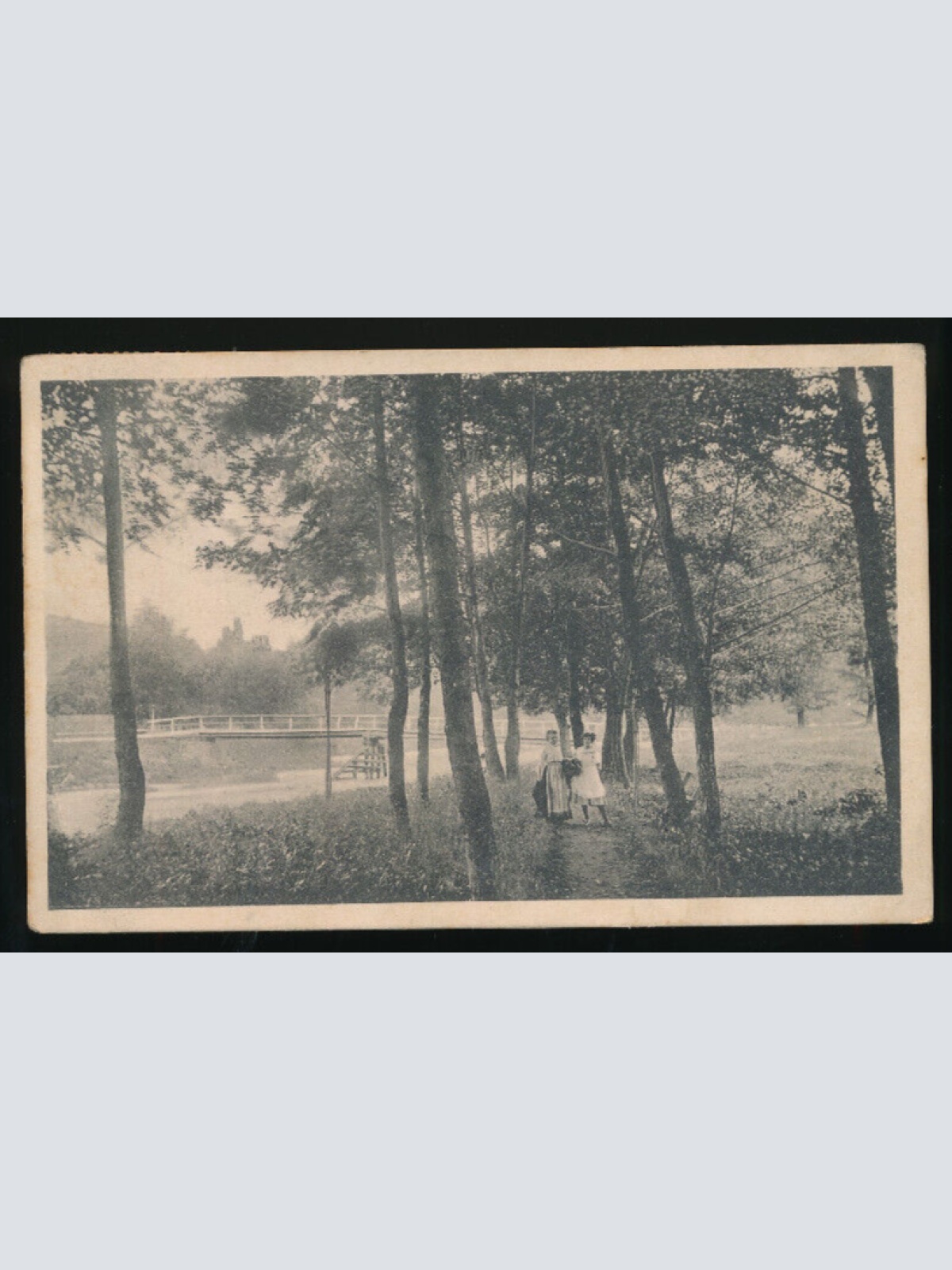 AK aus Senftenberg Niederösterreich (3412)