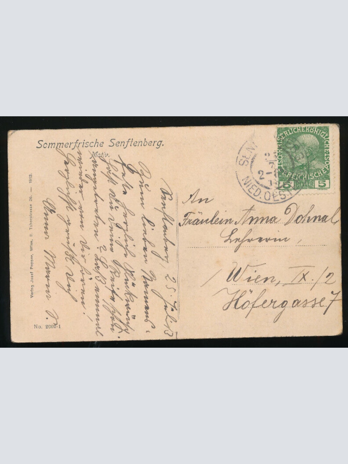 AK aus Senftenberg Niederösterreich (3412)