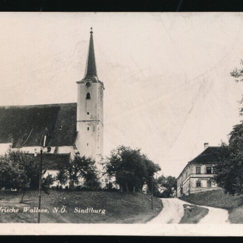 AK aus Wallsee Sindlburg Niederöstereich (3388)