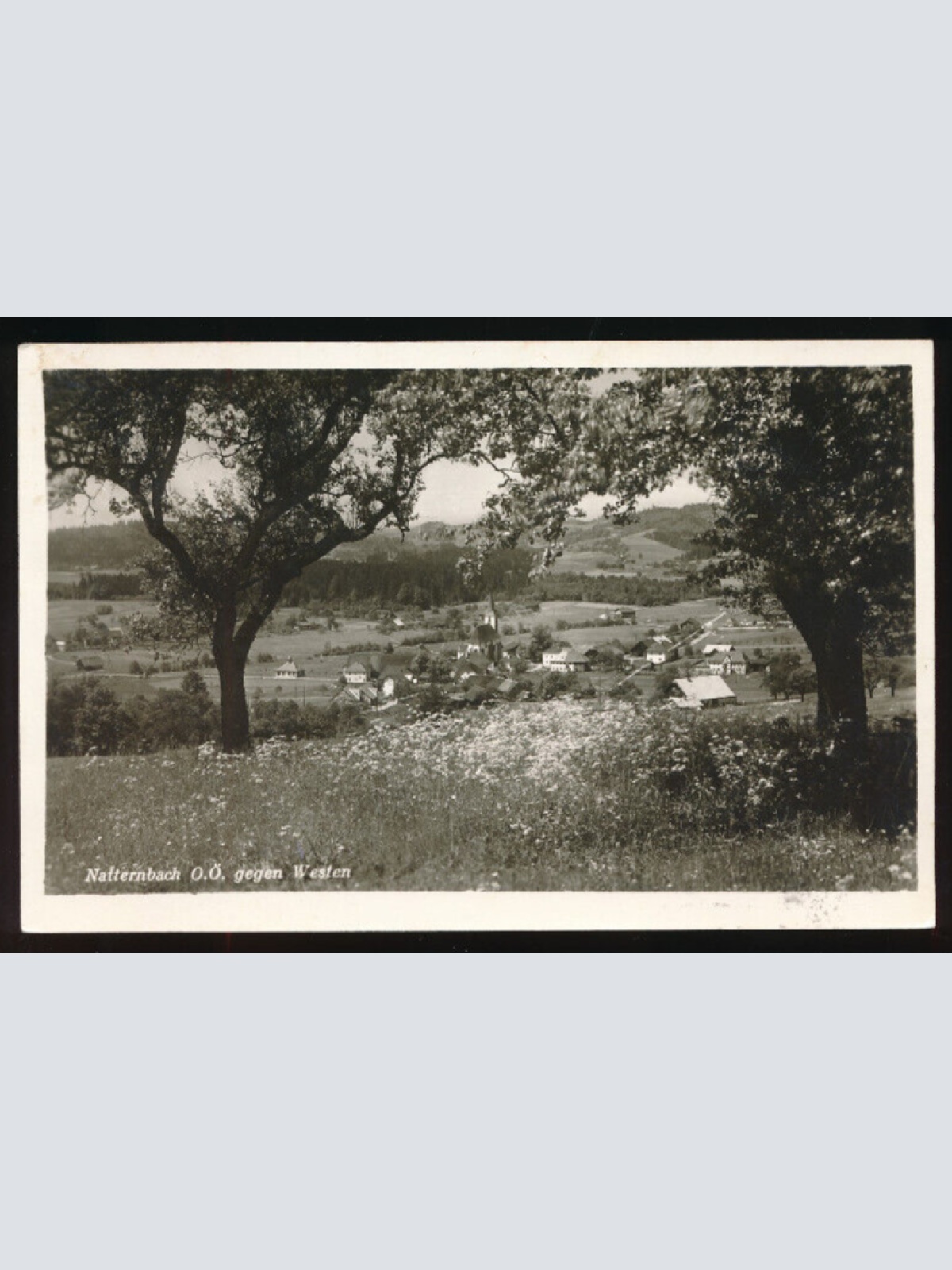 AK aus Natternbach Oberösterreich (3927)