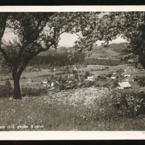 AK aus Natternbach Oberösterreich (3927)