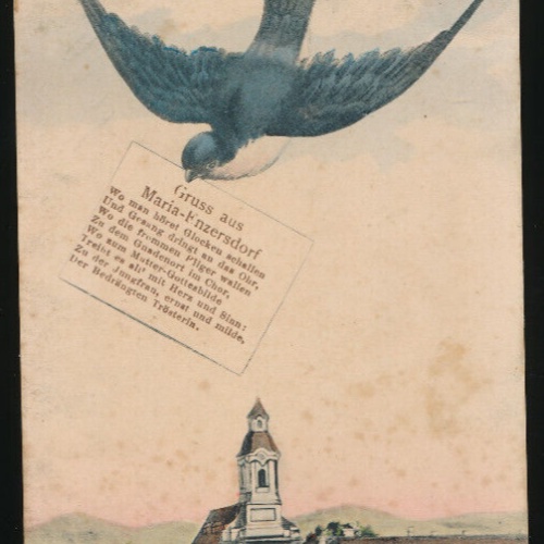 AK gruss aus Maria Enzersdorf mit Schwalbe Niederösterreich (3904)