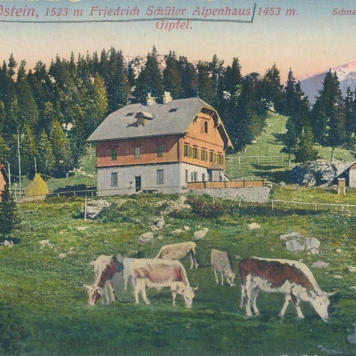 AK, Sonnwendstein, Friedrich Schüler Alpenhaus, Niederösterreich (S413)