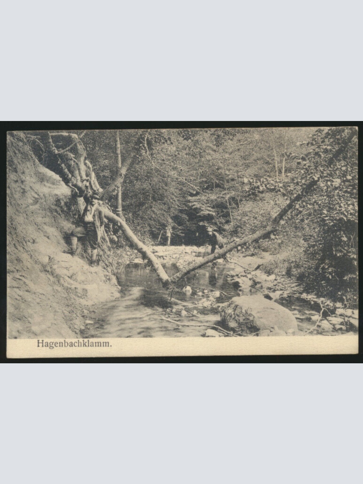 AK von der Hagenbachklamm Niederösterreich (3784)