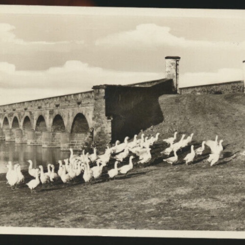 AK aus Hortobagy mit Gänsen Ungarn (4313)