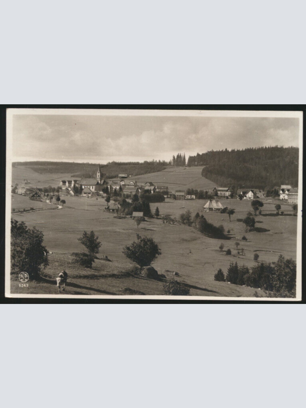 AK aus Schönwald Baden-Württemberg (4253)