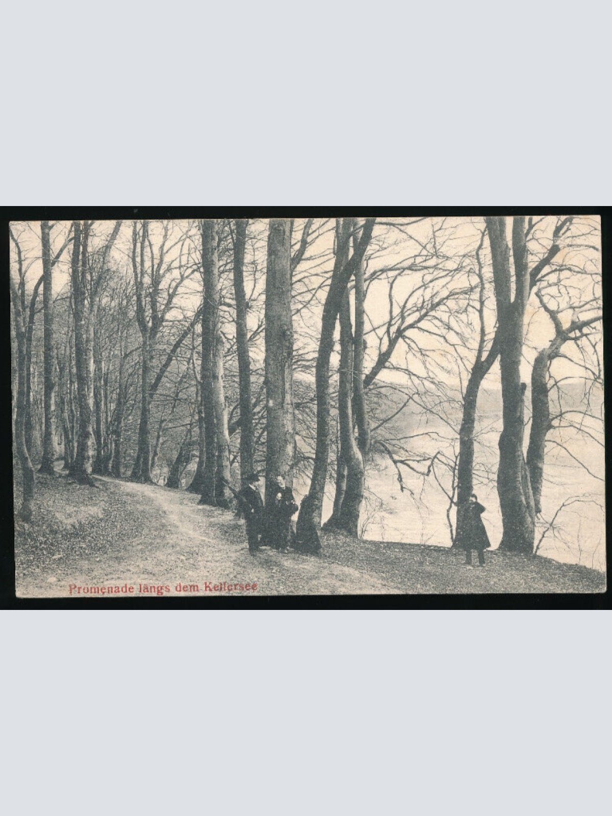 AK vom Kellersee Schleswig-Holstein (4246)