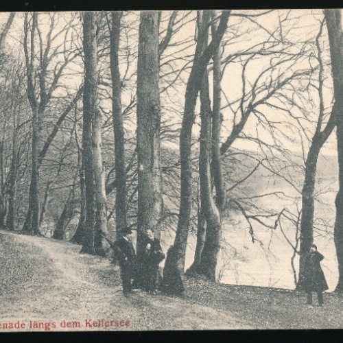 AK vom Kellersee Schleswig-Holstein (4246)