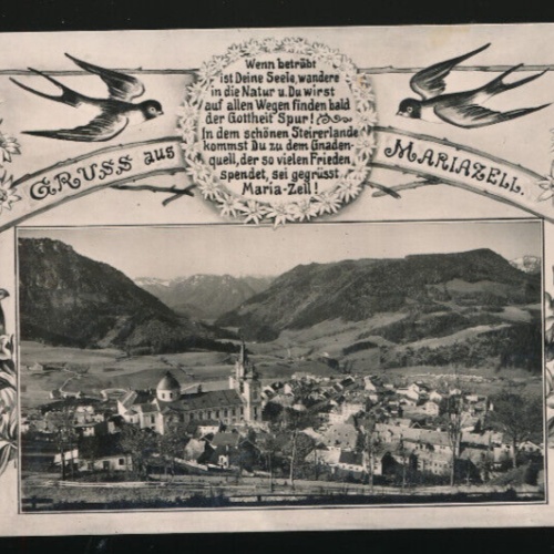 AK gruß aus Mariazell mit Schwalben Steiermark (3732)