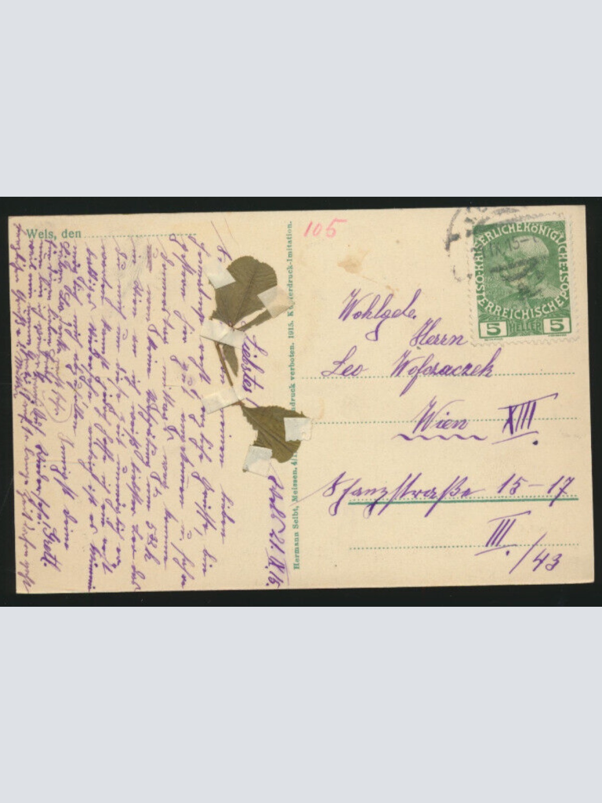 AK aus Wels Oberösterreich (4198)