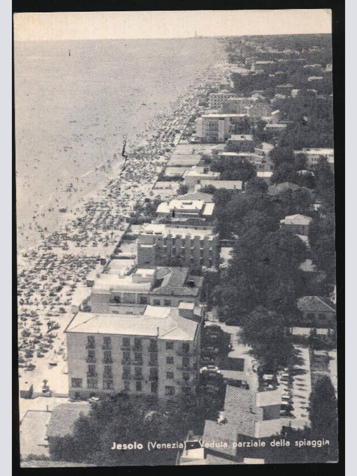 AK aus Jesolo Venezia Italien (4006)