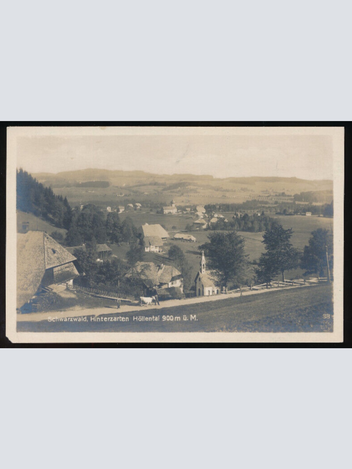 AK aus Hinterzarten Schwarzwald Baden - Württemberg (4685)