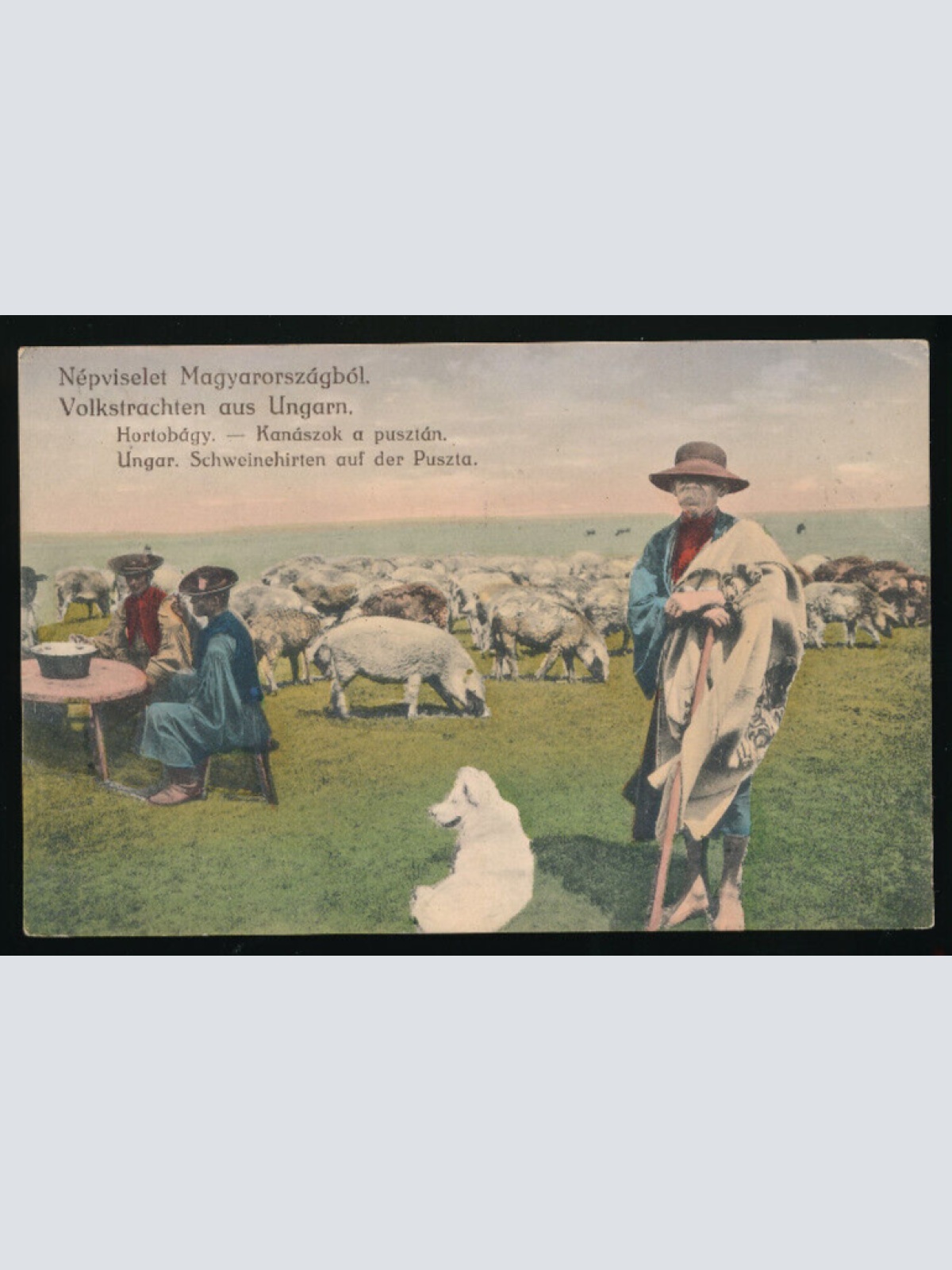 AK Ungarischen Volkstrachten - Nepviselet Kanaszok - Schweinehirte Ungarn (4408)