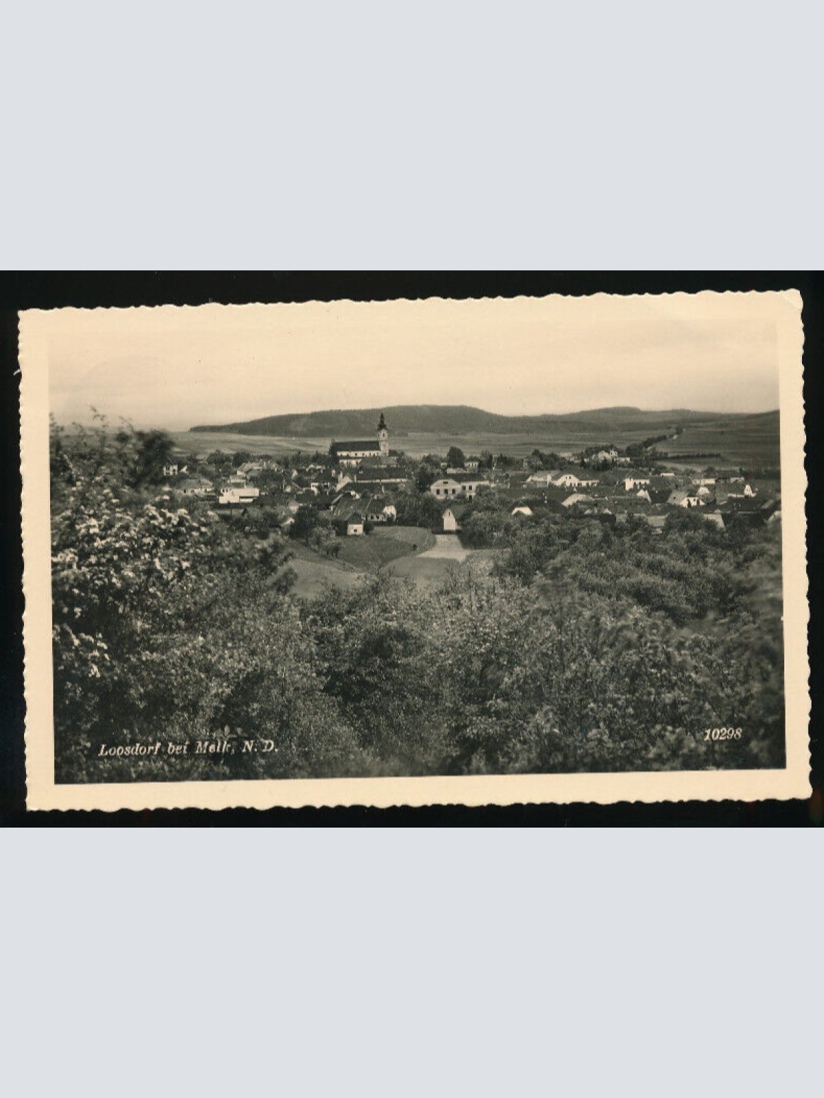 AK aus Loosdorf Niederösterreich (4424)