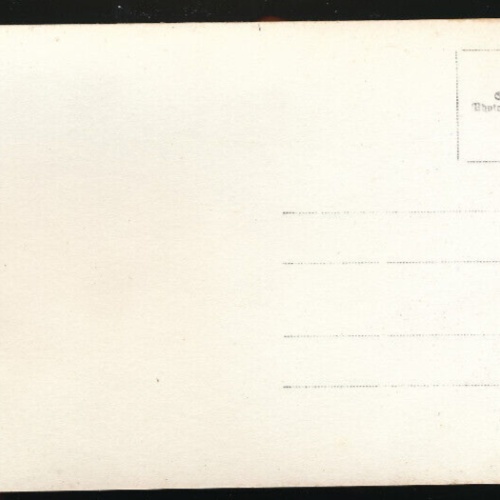 AK aus Trautmansdorf Hauptstrasse Niederösterreich (4843)