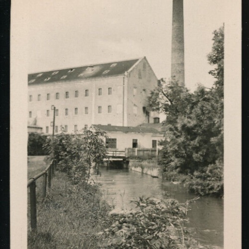 AK aus Trautmansdorf Niederösterreich (4837)