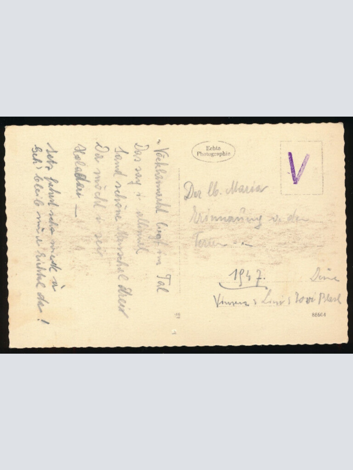 AK aus Vöcklamarkt Oberösterreich  (4817)