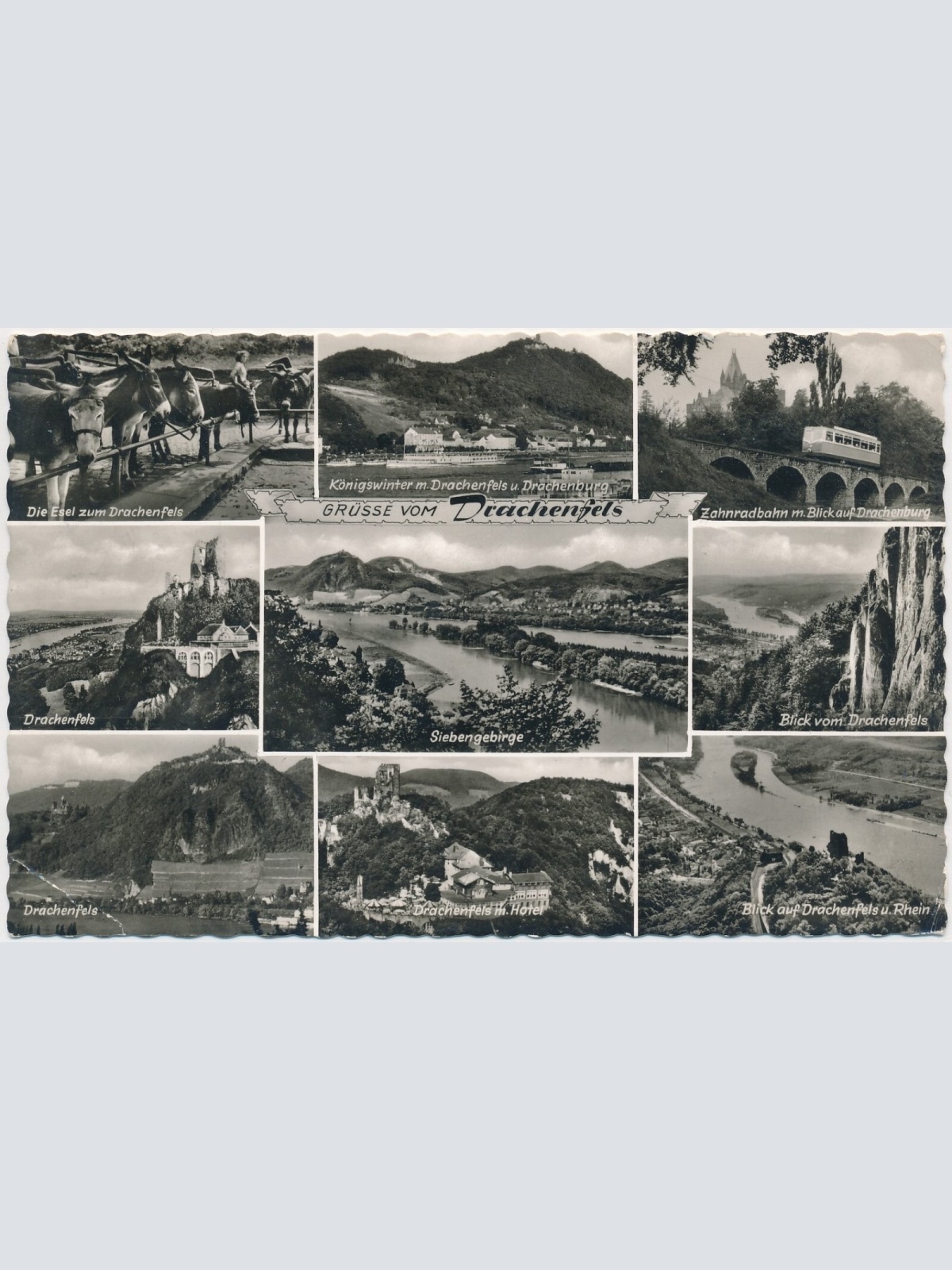 AK, Grüße vom Drachenfels, Königswinter am Rhein, Nordrhein-Westfalen (S549)