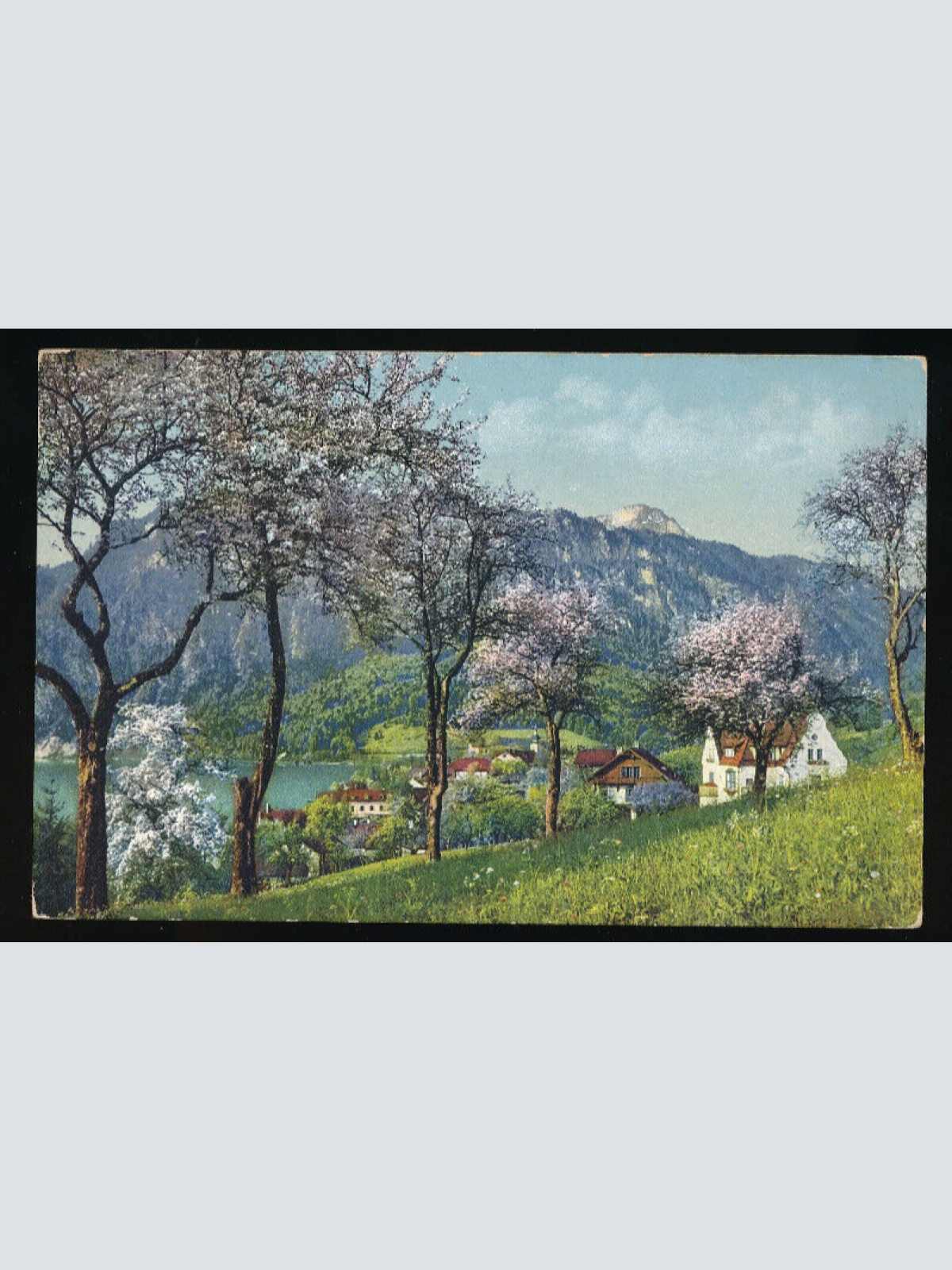 AK aus Unterach am Attersee Oberösterreich (4874)