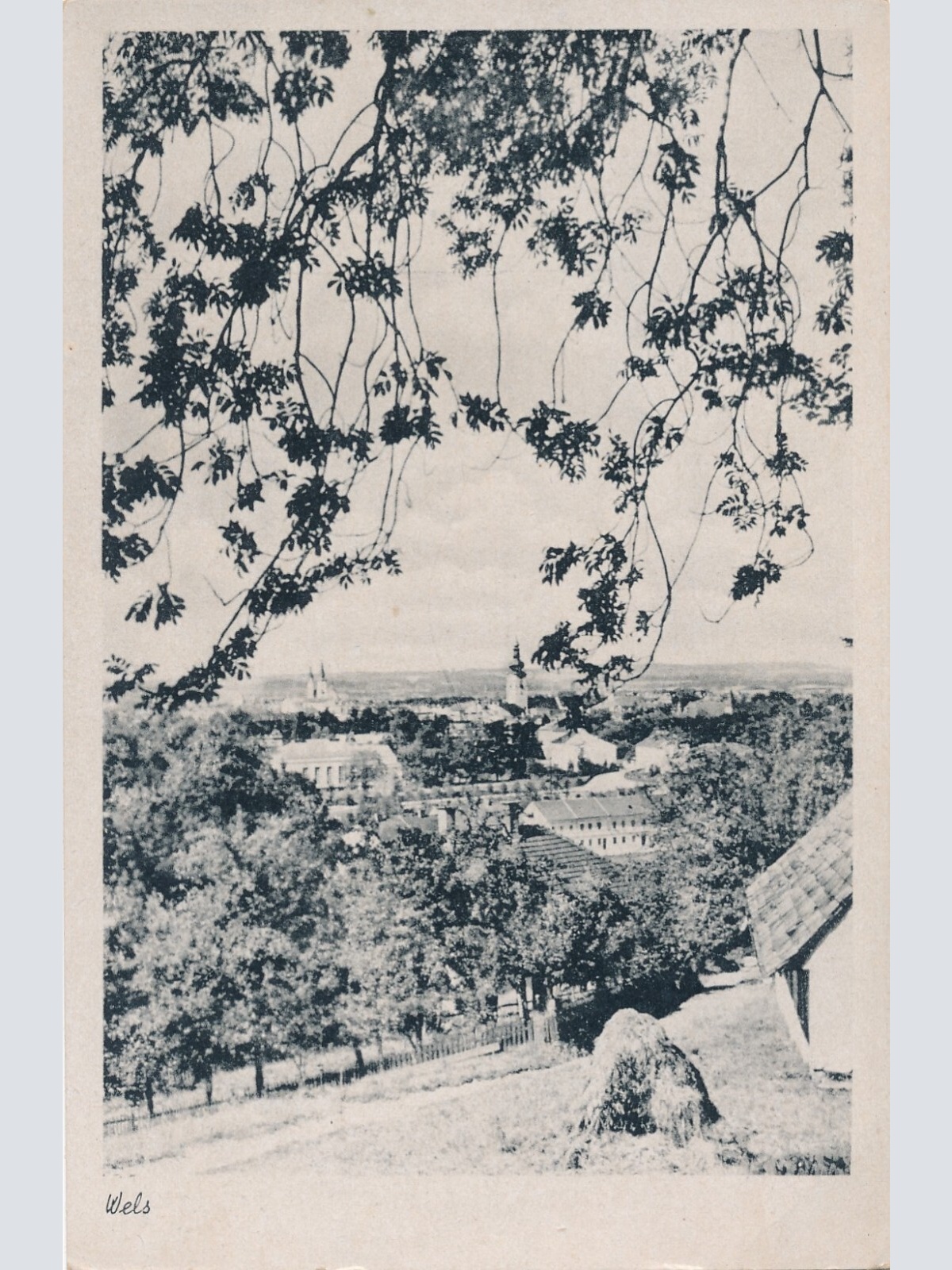 AK, Wels, Oberösterreich  (S611)