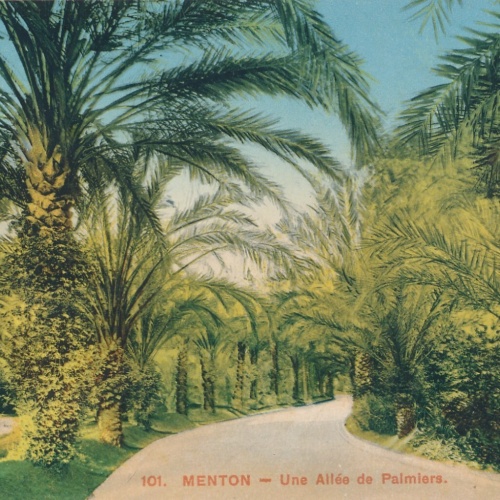 AK, Menton - Une Allee de Palmiers, Frankreich (S761)