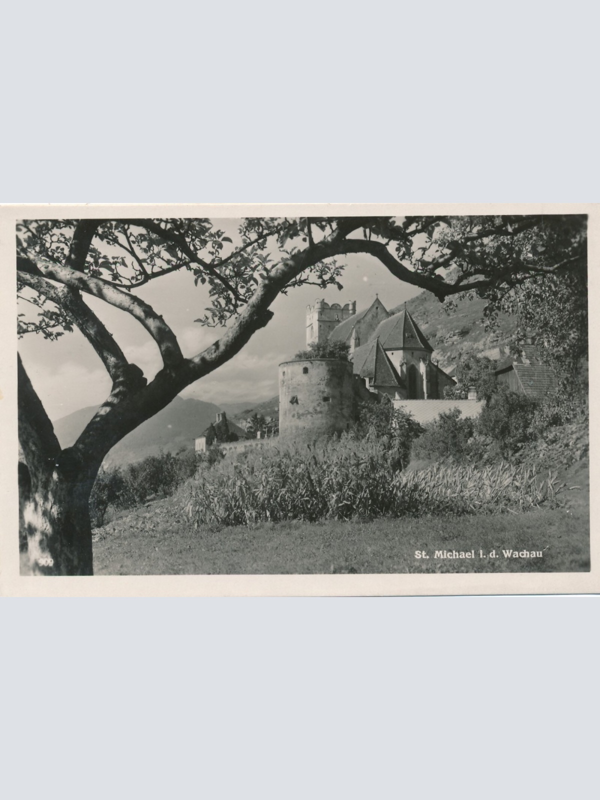 AK, St. Michael in der Wachau, Niederösterreich (S872)