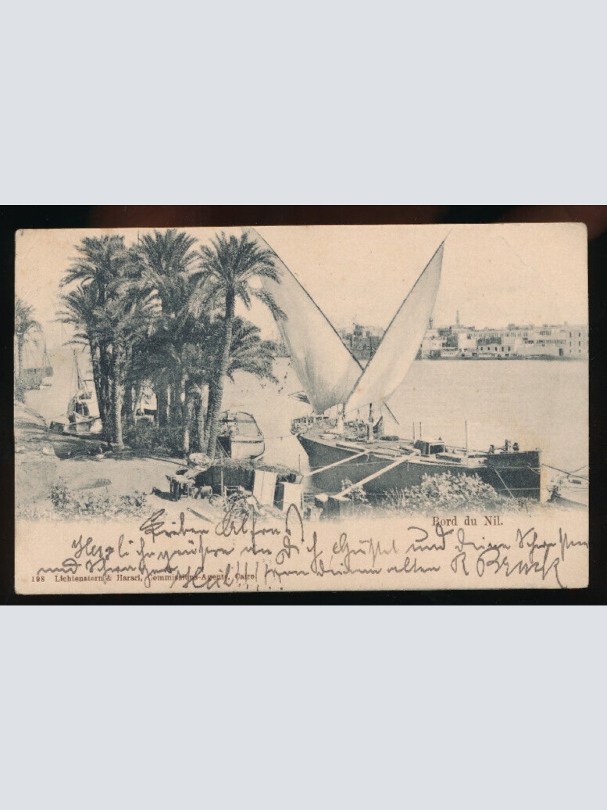 AK vom Nil Bord du Nil Afrika  (5054)