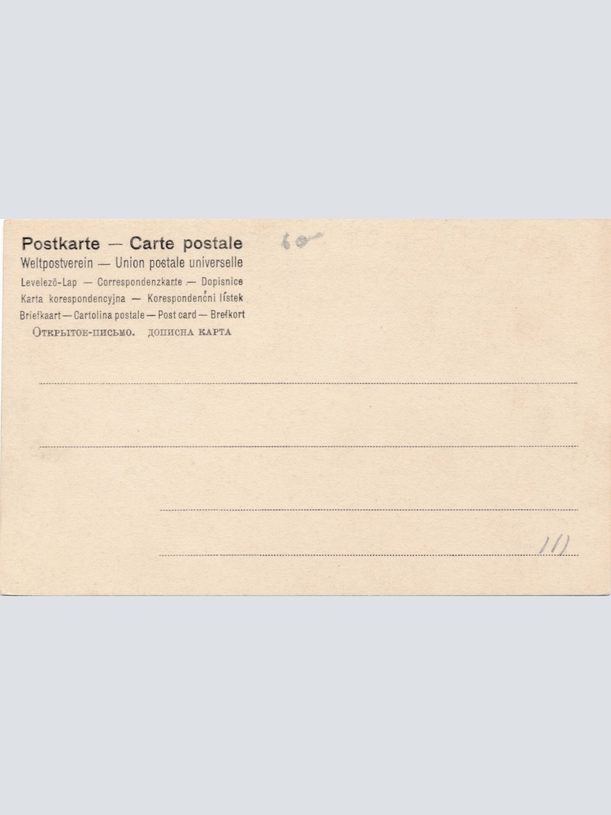 AK, Caravana de Camellos (S668)