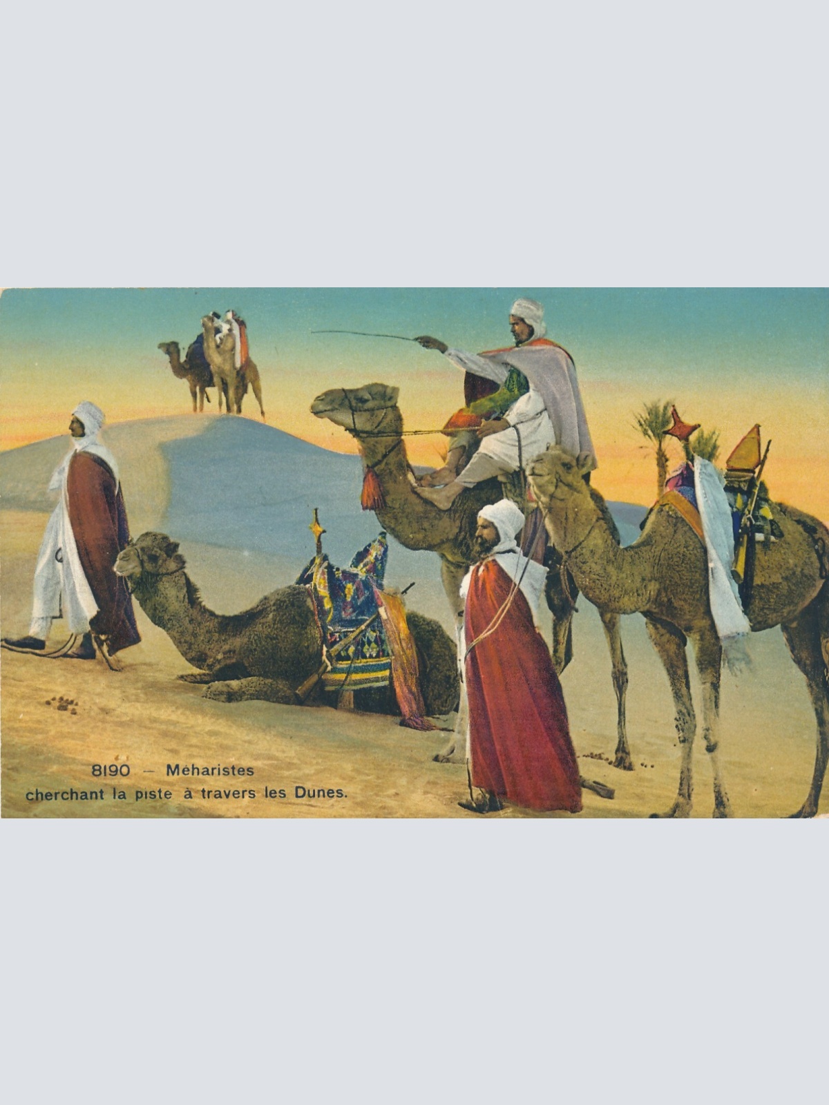 AK, Meharistes, cherchant la piste a travers les Dunes  (S675)