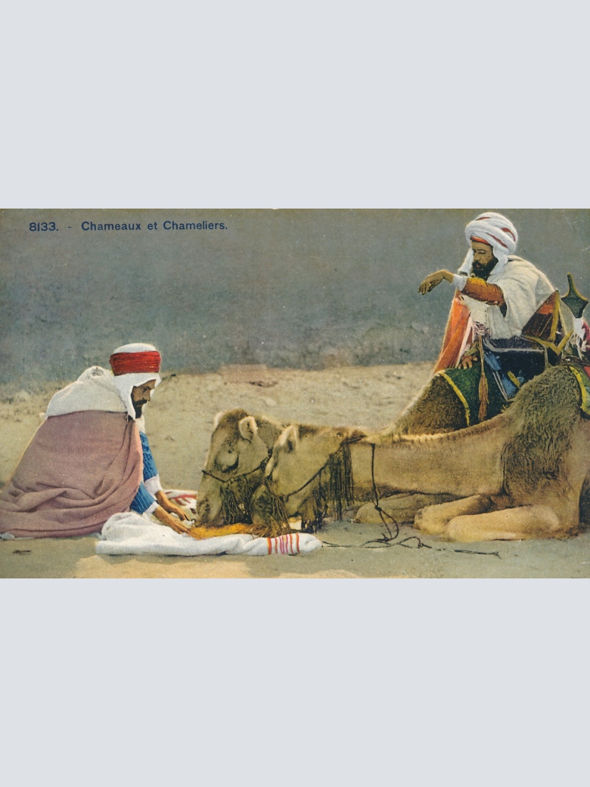 AK, Chameaux et Chameliers (S677)