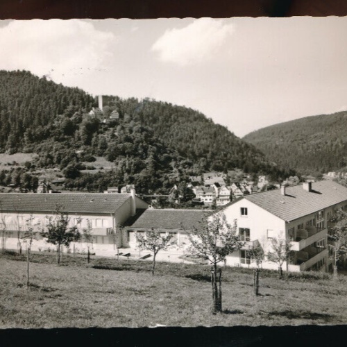 AK aus Bad Liebenzell Baden - Württemberg (5199)