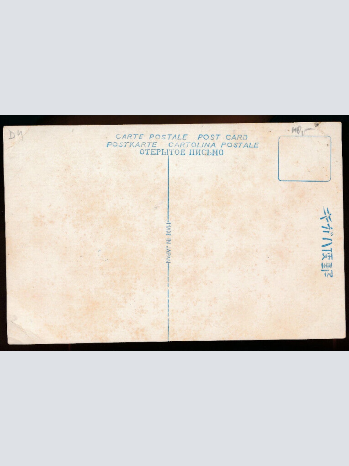 AK aus Sankaen Park at Yokohama Japan (4713)