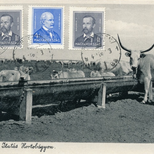 AK, Hortobágy, Ungarn (S952)