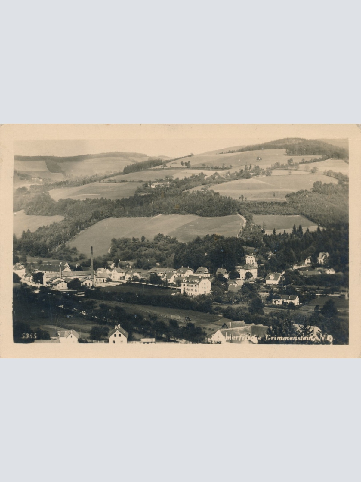 AK, Sommerfrische Grimmenstein, Niederösterreich (S1159)