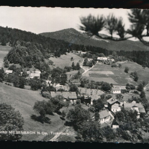 AK aus Miesenbach Niederösterreich (5403)