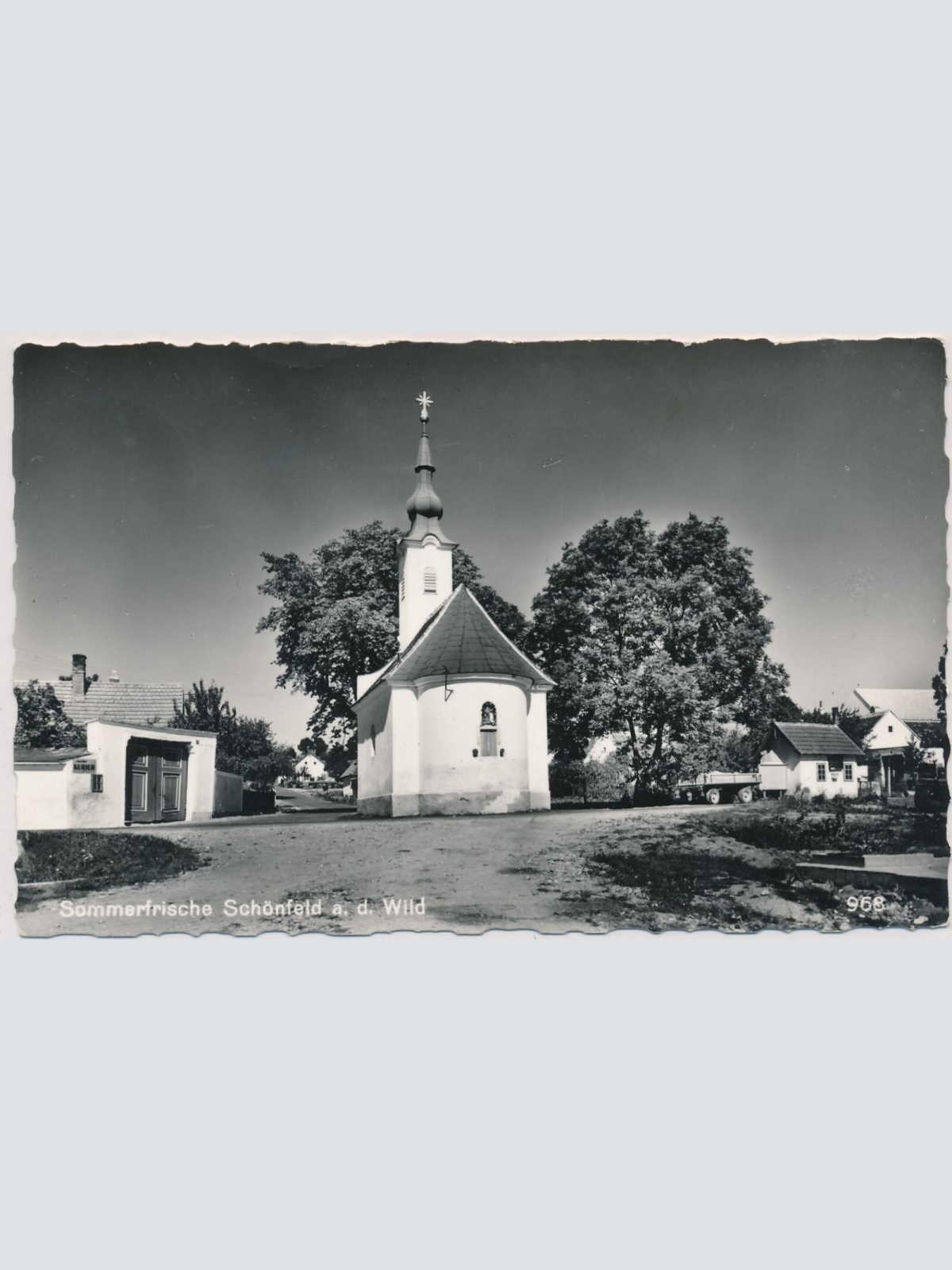 AK, Sommerfrische Schönfeld an der Wild, Niederösterreich (S1105)