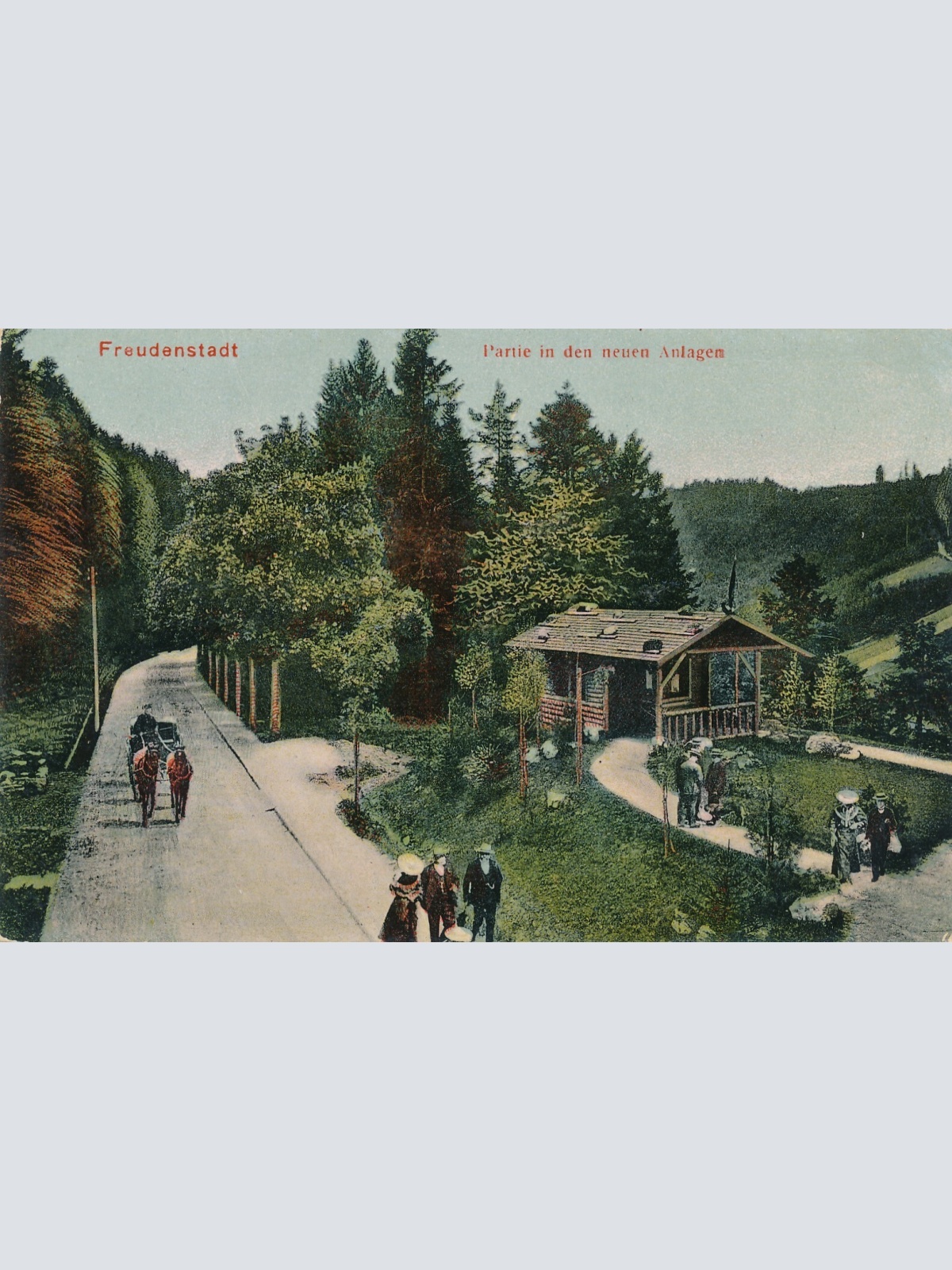 AK, Freudenstadt, Partie an den neuen Anlagen (S1200)