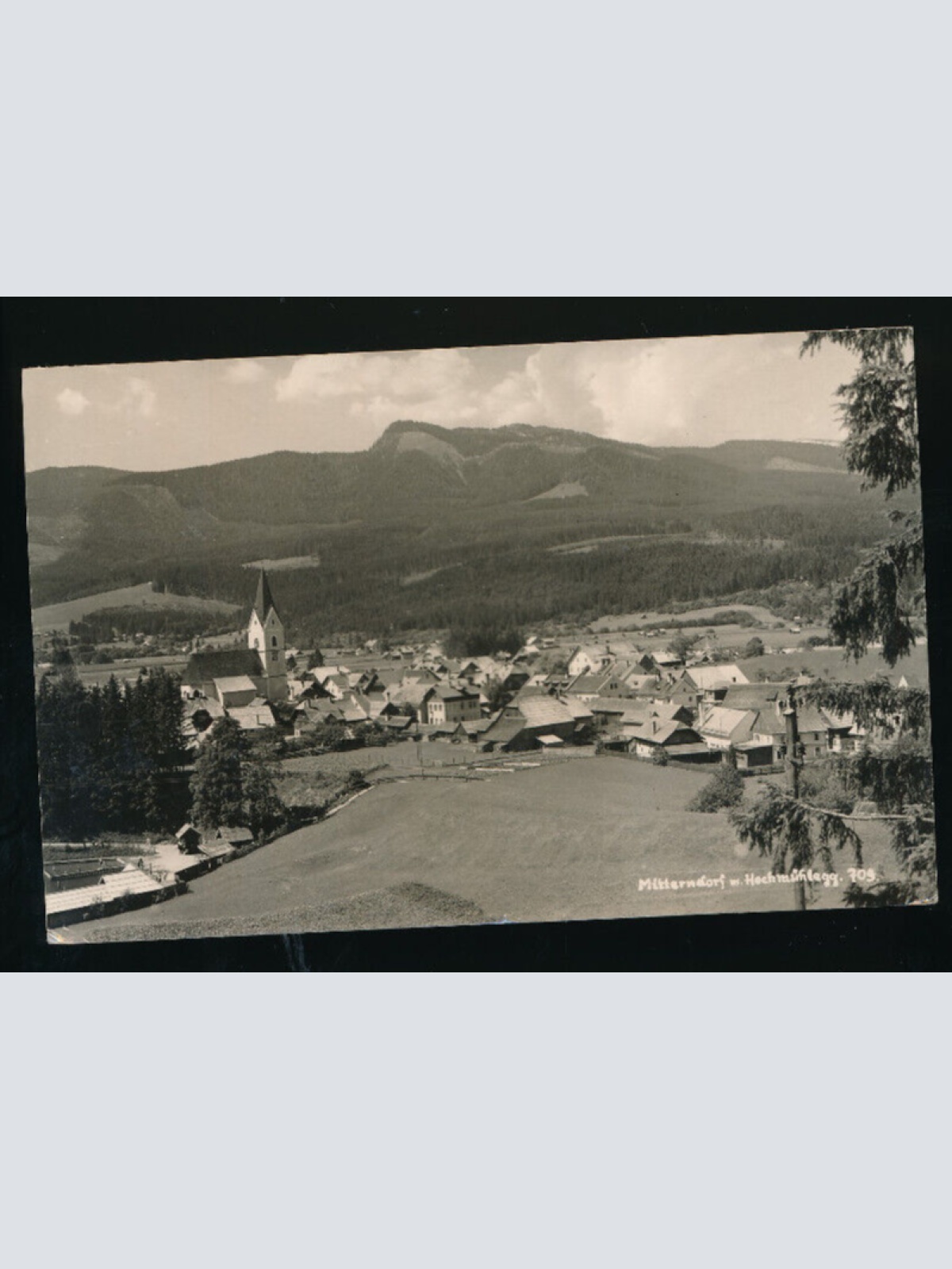 AK aus Mitterndorf Niederösterreich (5400)