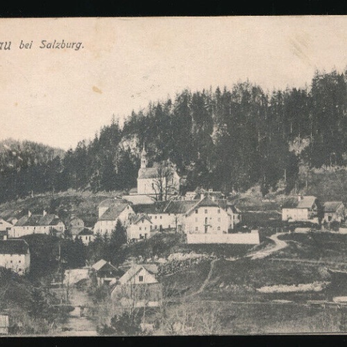 AK aus Ebenau Salzburg (5302)