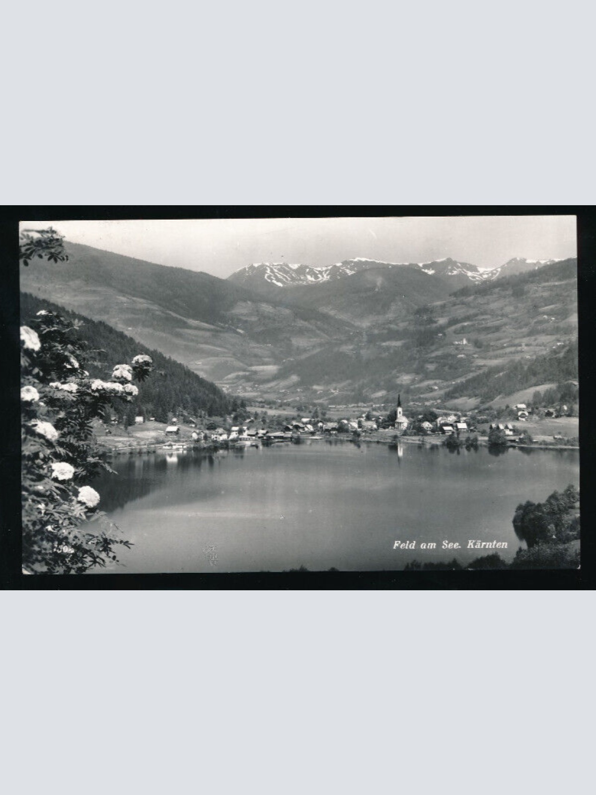 AK aus Feld am See Kärnten (5307)