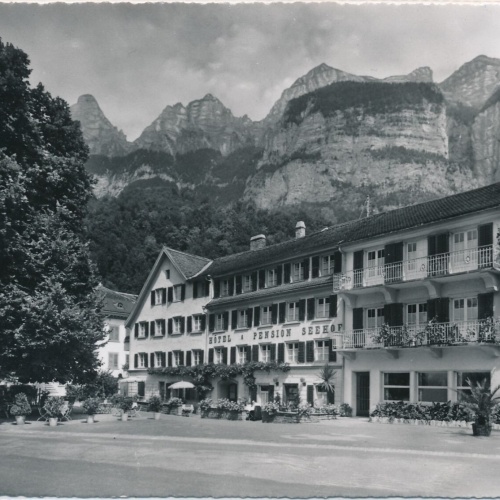 AK, Hotel und Pension Seehof Walenstadt, Schweiz (S1482)
