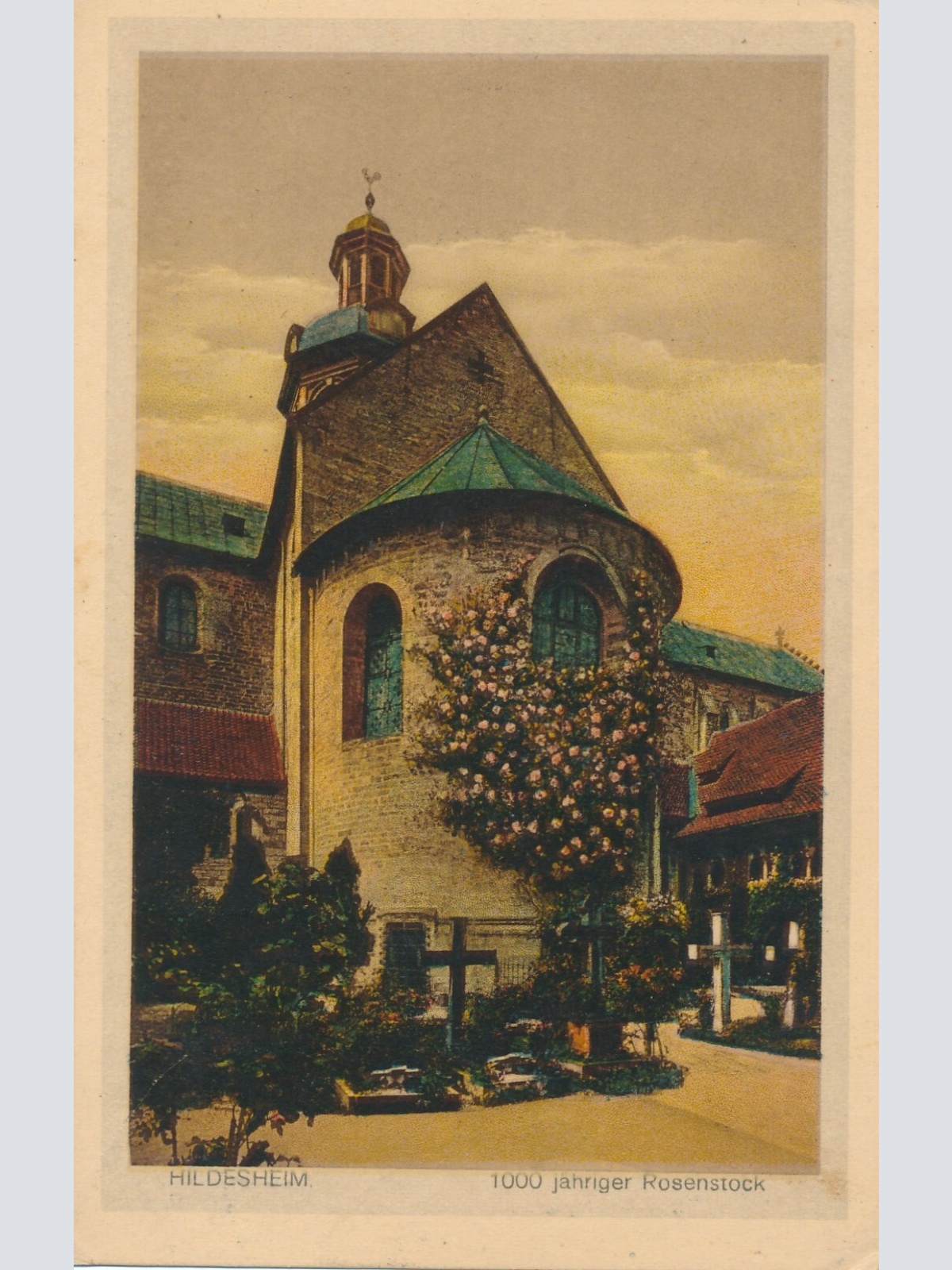 AK, Hildesheim, 1000 jähriger Rosenstock, Niedersachsen  (S1261)