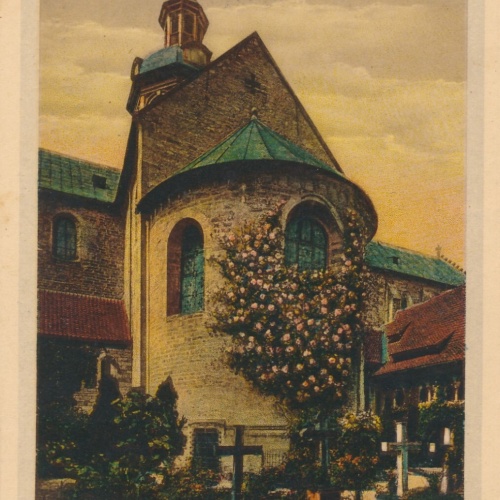 AK, Hildesheim, 1000 jähriger Rosenstock, Niedersachsen  (S1261)